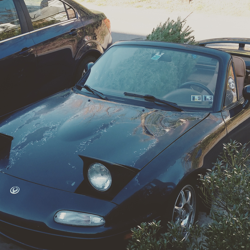 Illustration for article titled The 1994 Mazda Miata: Will it Christmas Tree?